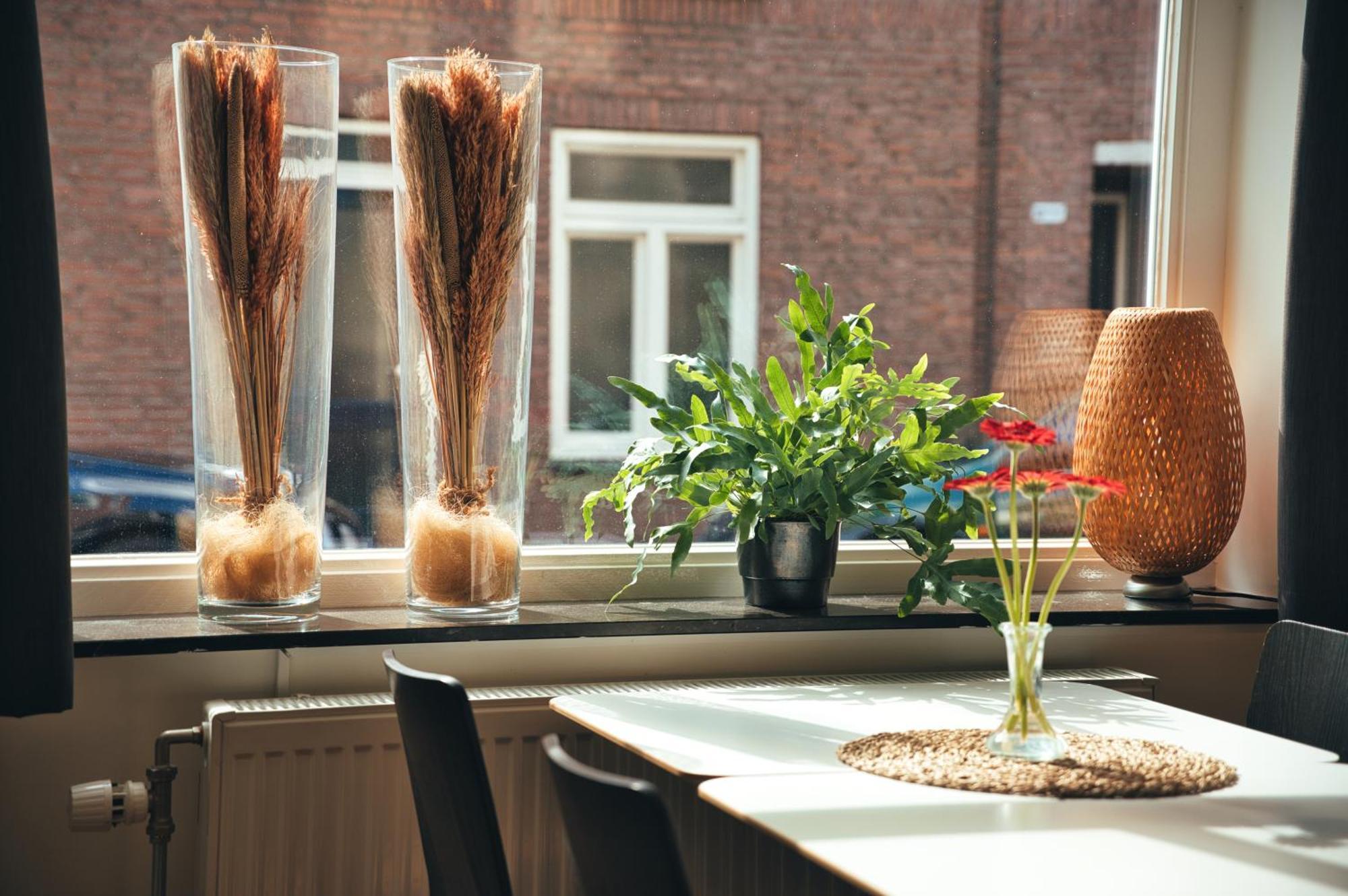 B&B De Hofnar Roermond Ngoại thất bức ảnh
